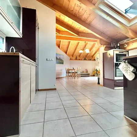 Alpine Loft Appartement *